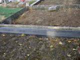 image of grave number 196457